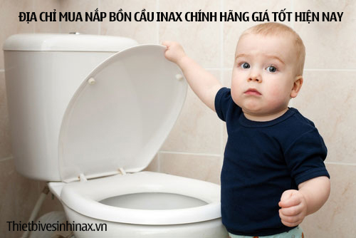 Địa chỉ mua nắp bồn cầu Inax giá tốt nhất tháng 11/2021